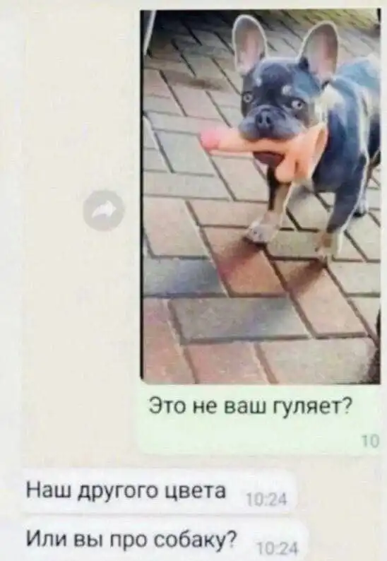 Нестандартный юмор :)