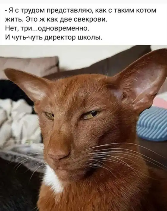 Немного картинок для настроения