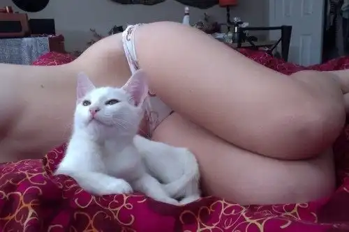 Девушки и кис-киски