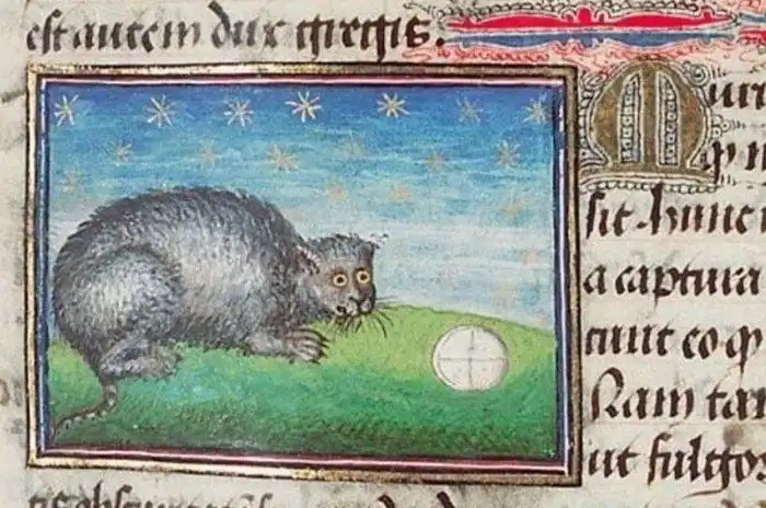 Почему в Средневековье кошек изображали такими страшными