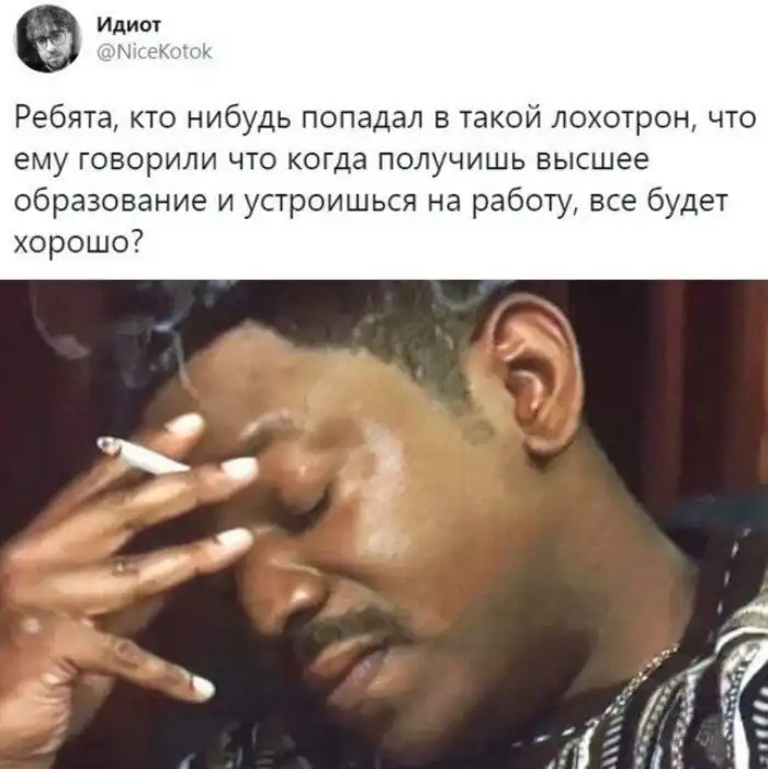 Оно как трусы, лучше чтобы было... Всё о высшем образовании