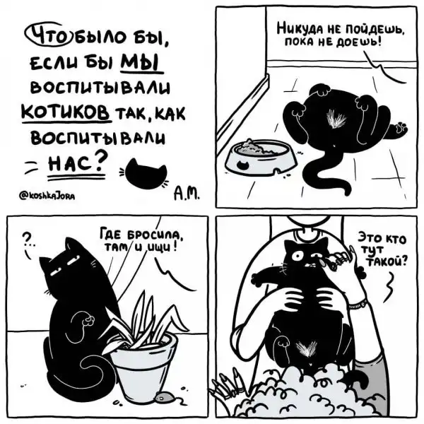 Забавный комикс о жизни с котом