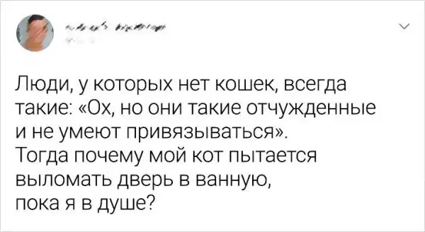 Подборка забавных твитов о животных