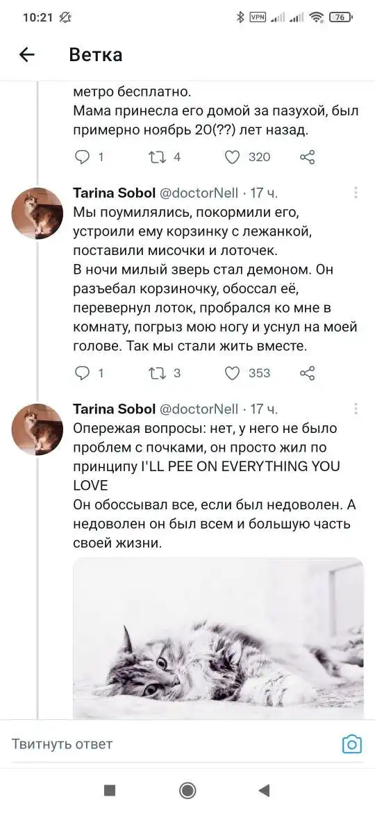 Про кота Марфу