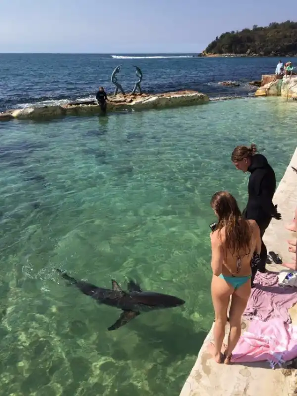 Картинки и мемы