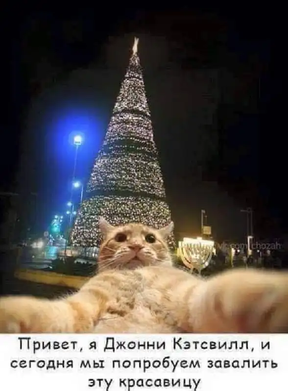 Картинки и мемы