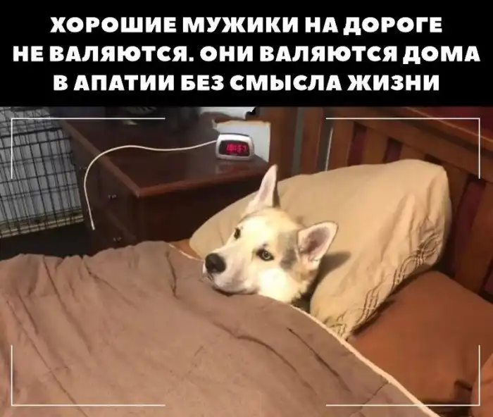 Искренне о типичных буднях мужчин, в которых почему-то так много юмора и боли