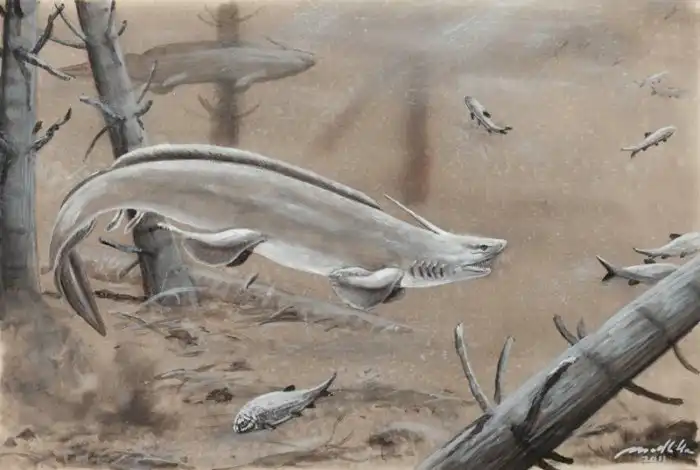 Ксенакант: Морда акулы, тело угря и рог на голове. 168 млн лет успешного выживания в древних водоёмах. Феноменальный срок!