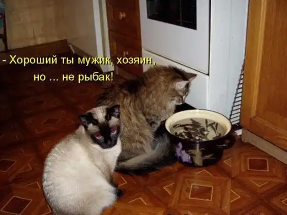 Так себе картинки