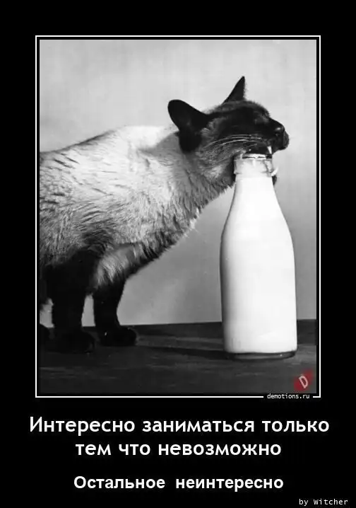 Картинки с надписями