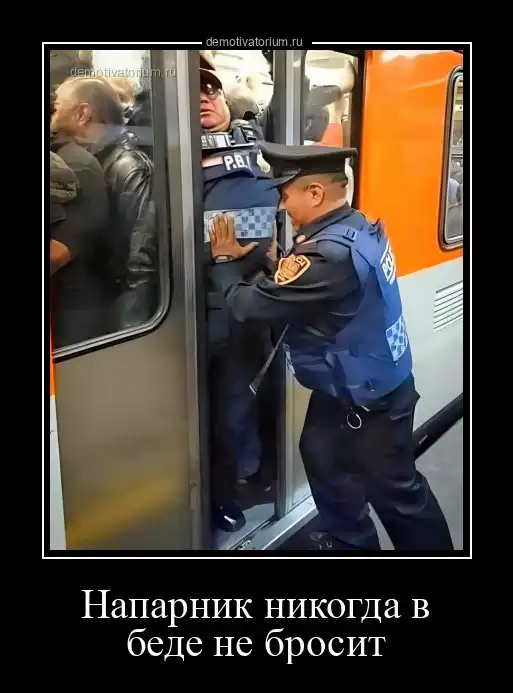 Новые демотиваторы