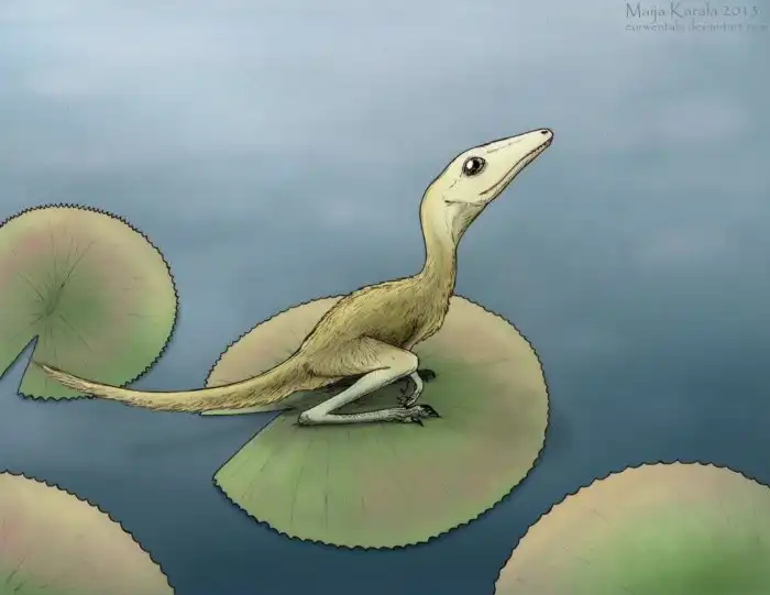 Склеромохл: Предок летающих птерозавров. Он протоптал дорожку в небо для древних ящеров