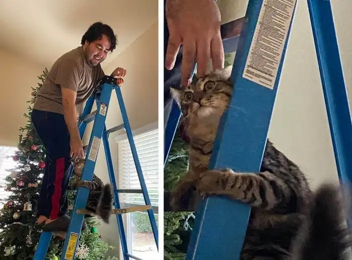 И смех, и слёзы, и любовь братьев наших меньших