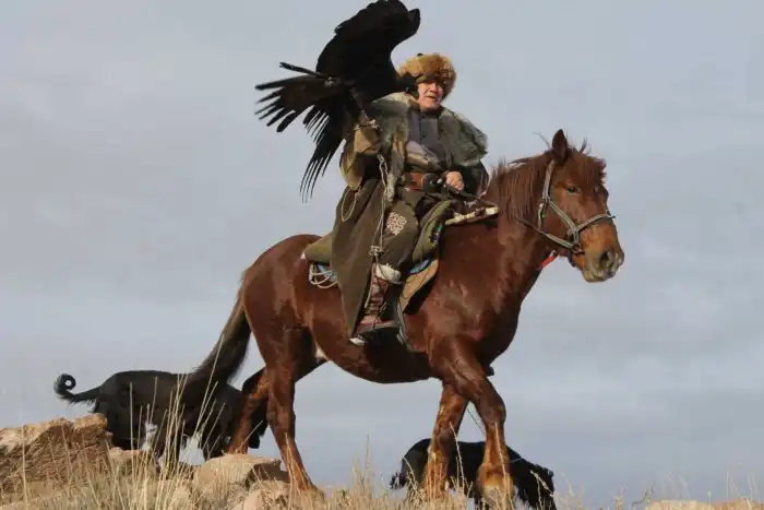 Казахские лошади: Не имей сто преимуществ, а имей ни одного недостатка. Универсальные кони Великой степи