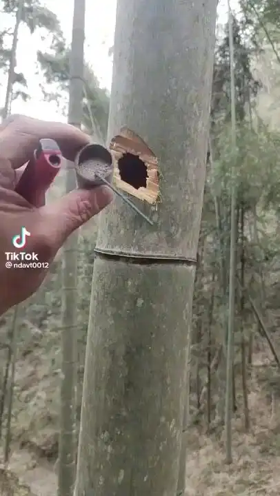 Пытливым умам нет покоя