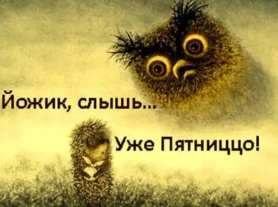 Прикольные и просто красивые картинки