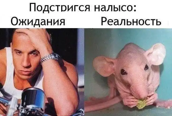 Картинки