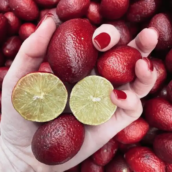 Необычные сорта знакомых нам фруктов и овощей