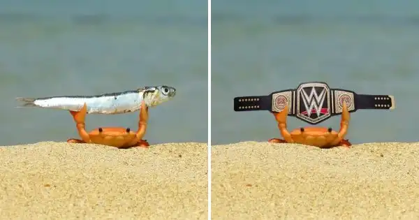 Подборка забавных фотожаб