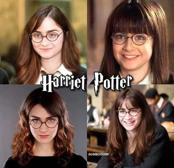 Что если бы персонажи «Гарри Поттера» были другого пола