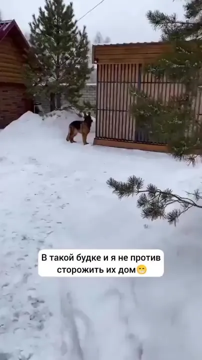 Домик для собачки⁠⁠