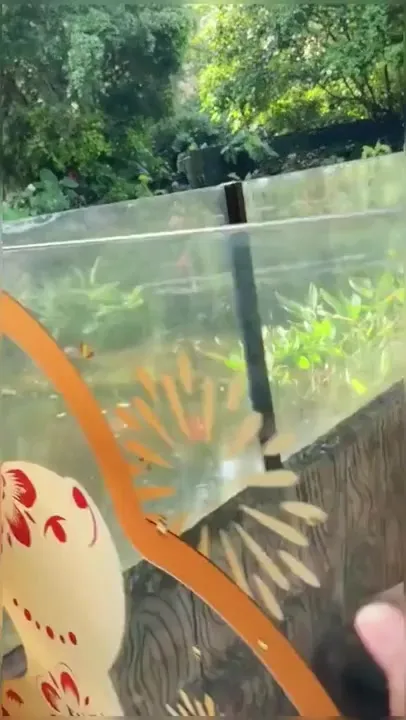 С лодкой гораздо лучше