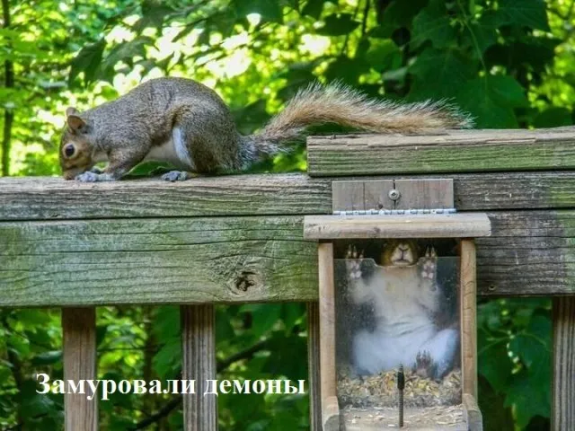 Картинки с надписями