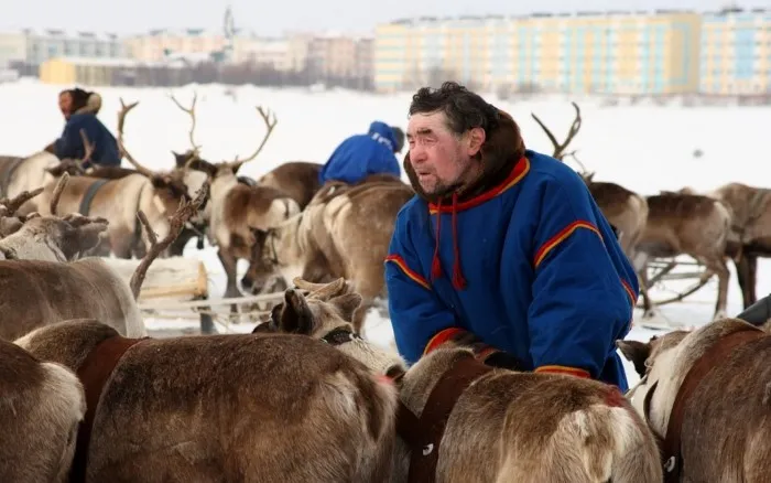 Особенности жизни в арктической России