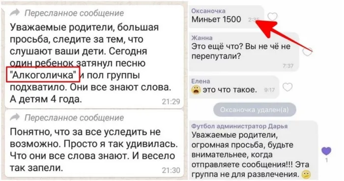 Слабоумие и отвага родительских чатов