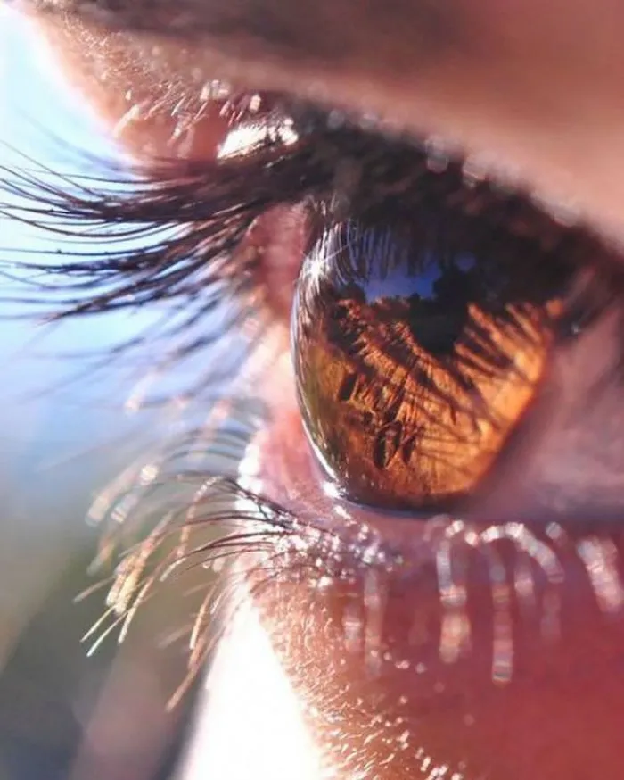 Фотоподборка