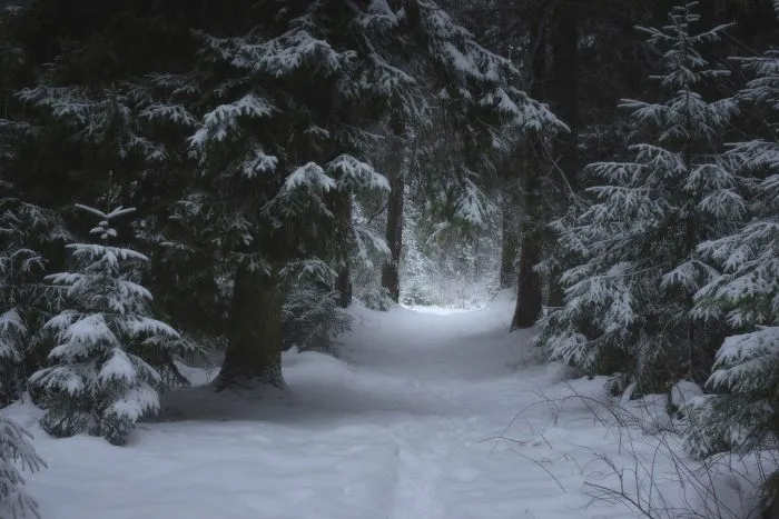 Фотоподборка