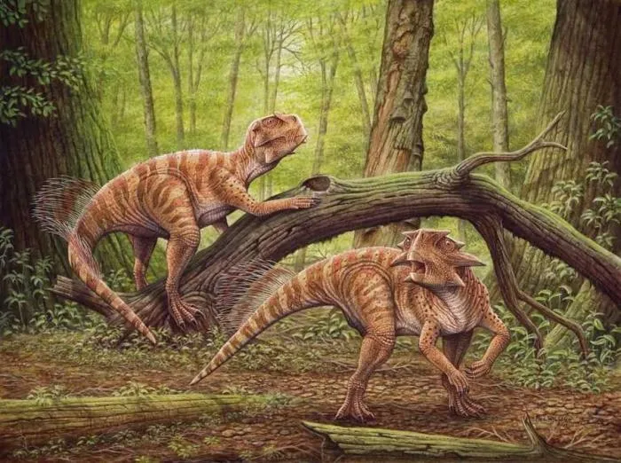 Пситтакозавр сибирский: Они были так многочисленны, что Кемеровская область буквально завалена их костями. Что за ящеры такие?