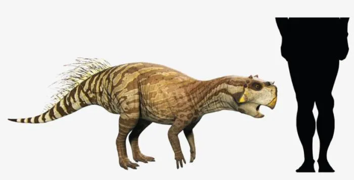 Пситтакозавр сибирский: Они были так многочисленны, что Кемеровская область буквально завалена их костями. Что за ящеры такие?