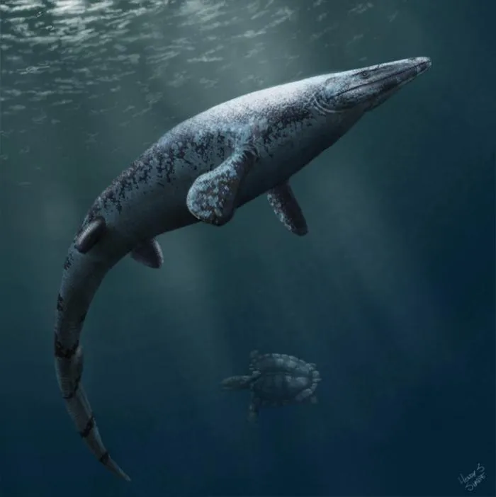 Почему морские динозавры не смогли выжить после падения метеорита