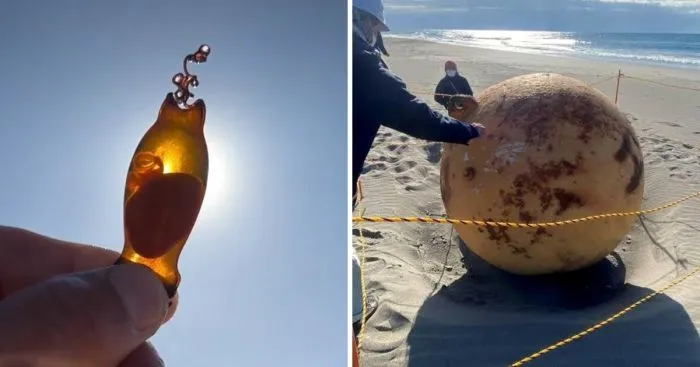 16 штуковин, которые были случайно обнаружены людьми на пляже