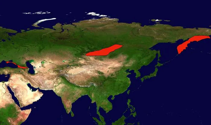 Где в России возможны сильные землетрясения? 3 сейсмически опасные зоны: рассказываю про них подробно