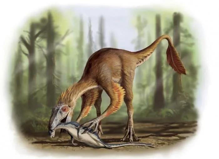 Дилун: Тираннозавр версии XS. Этот предок грозного ящера был размером с собаку и всё равно стоял на вершине пищевой цепи!