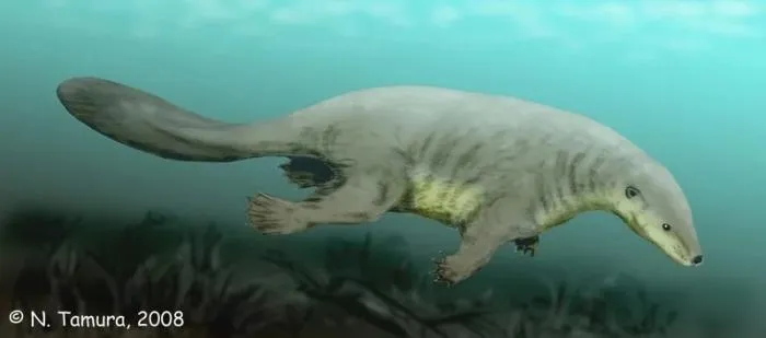 Касторокауда: «Выдра» времён динозавров. Они покорили водную стихию, чтобы скрыться от ужасных ящеров