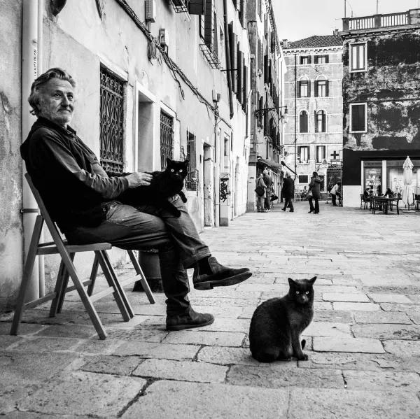 "Венецианские коты": душевный и стильный проект итальянского фотографа