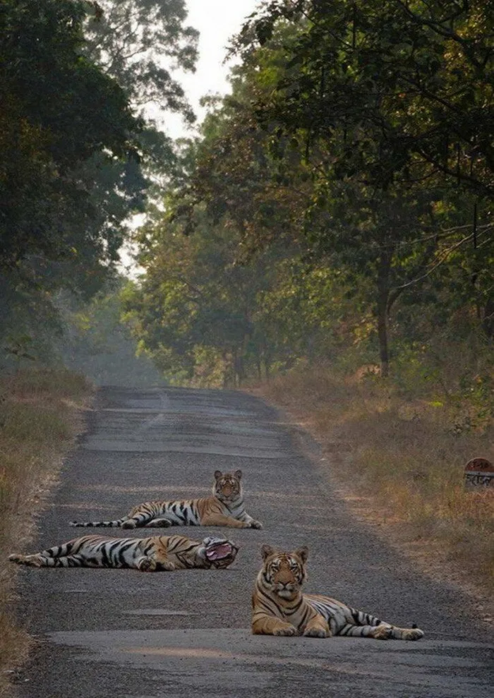 Просто фото