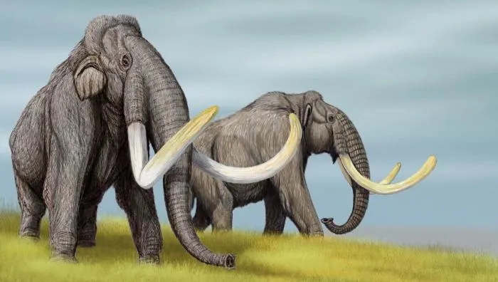 Трогонтериевый слон: Отец титанов. Он дал начало шерстистым мамонтам и тяжёлой поступью освоил половину земного шара