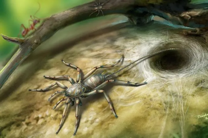 Хвостатые пауки: Зачем древним паукам нужен был хвост? И почему он отвалился в наши дни?
