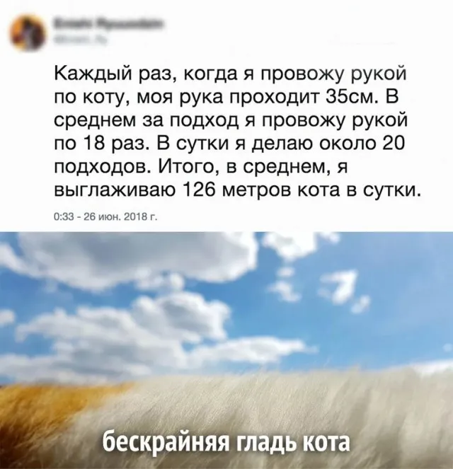 Картинки и мемы