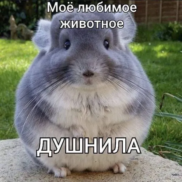 Нестандартный юмор :)