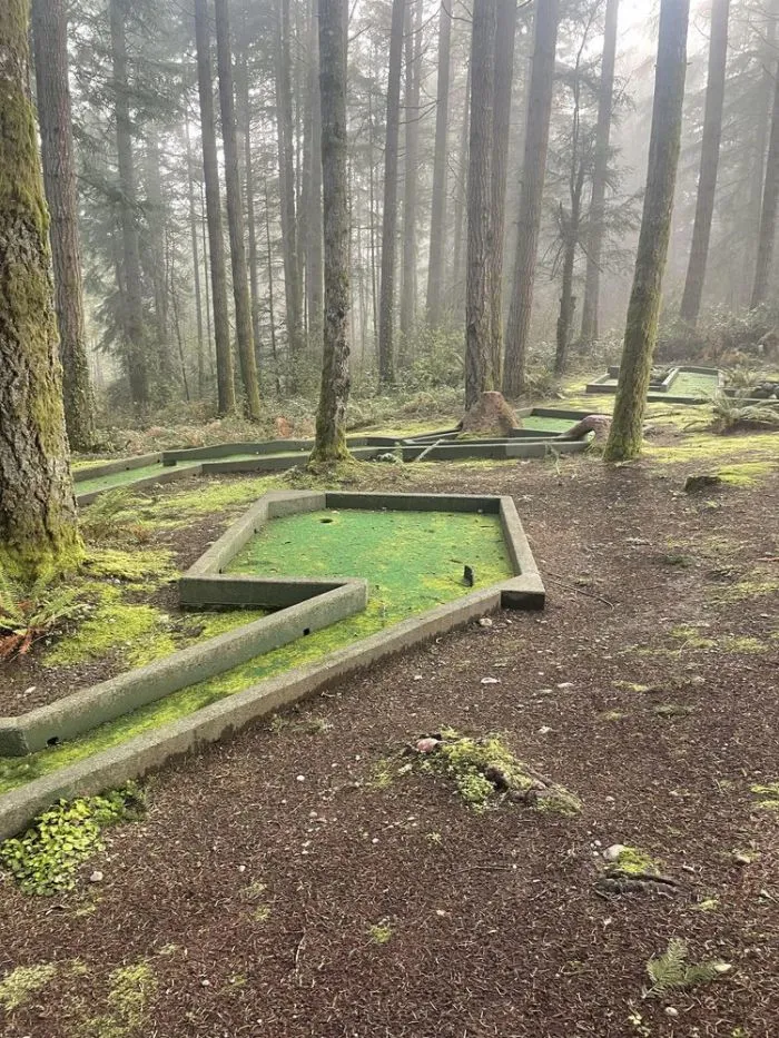 17 заброшенных мест и вещей, которые природа начала возвращать себе после того, как люди их бросили