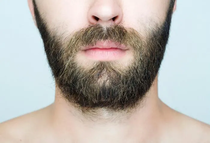 Для чего нужна густая растительность на лице: странная гипотеза, объясняющая эволюционное назначение бороды