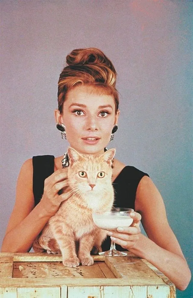 Одри Хепберн и чудесный кот из фильма "Завтрак у Тиффани"