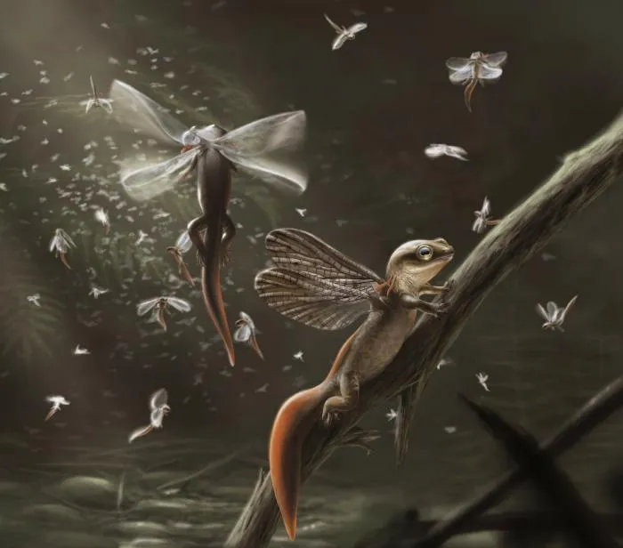 Апатеон: Первая в истории «амфибия с крыльями»! Жаль, что всё волшебство пропало при более тщательном изучении находки