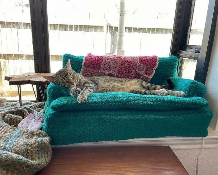 30+ котеек, которые живут в тепле и уюте — и мы бесконечно за них рады