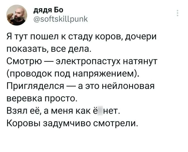 Подборка забавных твитов обо всем